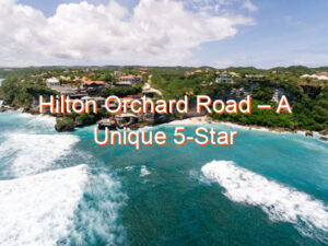 Hilton Orchard Road – A Unique 5-Star Experience in Singapore